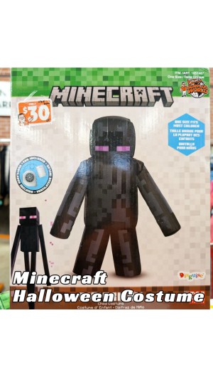 Minecraft Halloween Costume