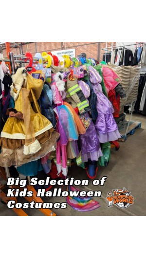 Huge Selection of Halloween Costumes