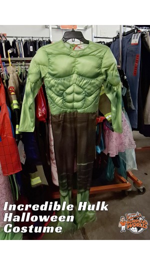 Incredible Hulk Costume Incredible Hulk Costume