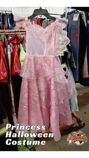 Princess Costume Princess Costume